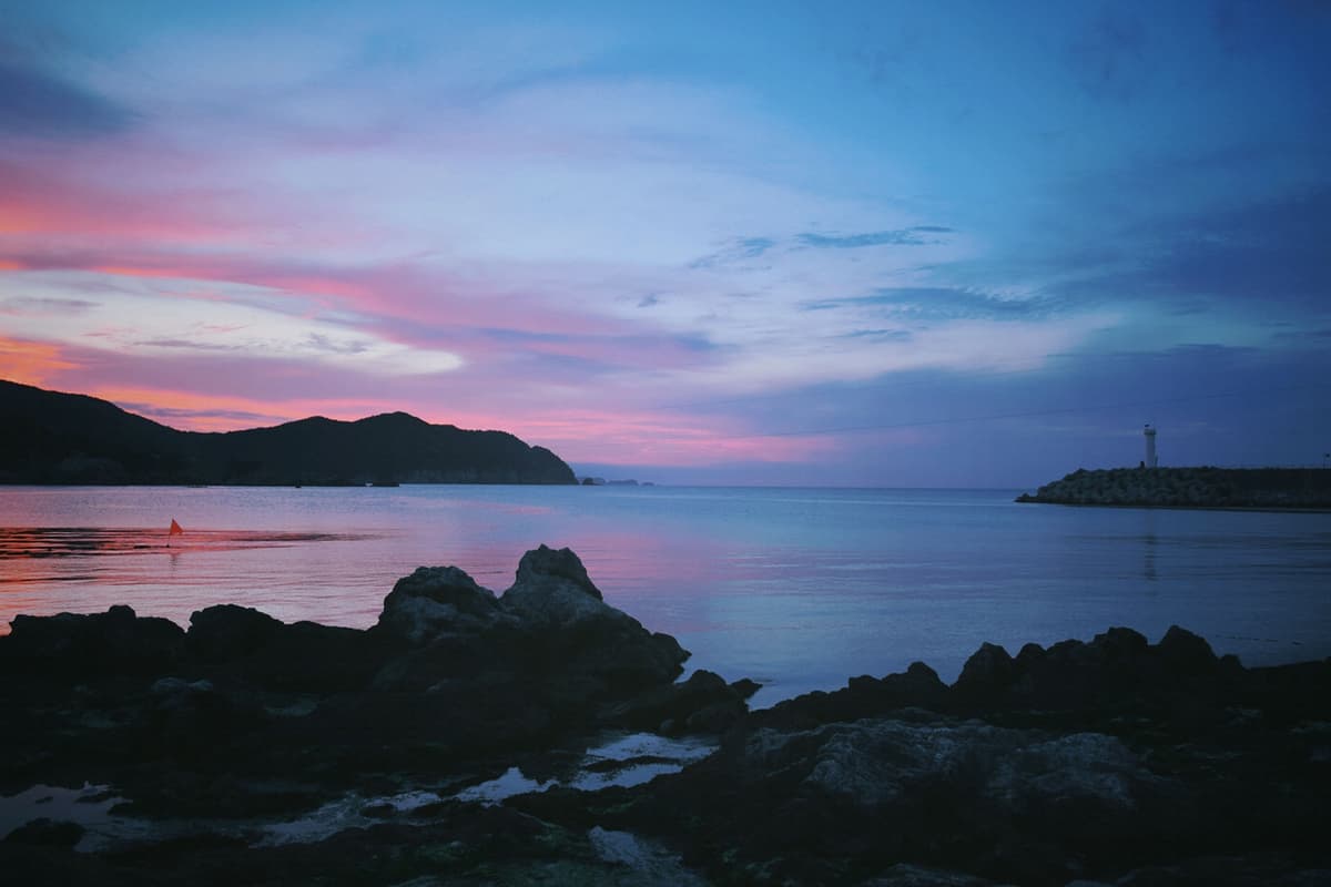 Blog4